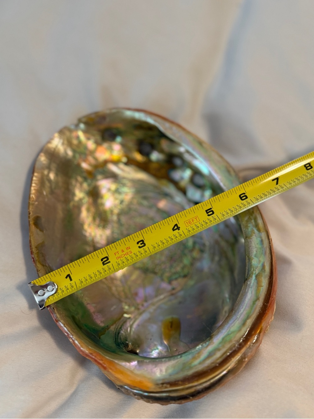 Large Vintage Red Abalone Seashell Mother of Pearl Shell 6" X 8" TRINKET DISH - Picture 5 of 8
